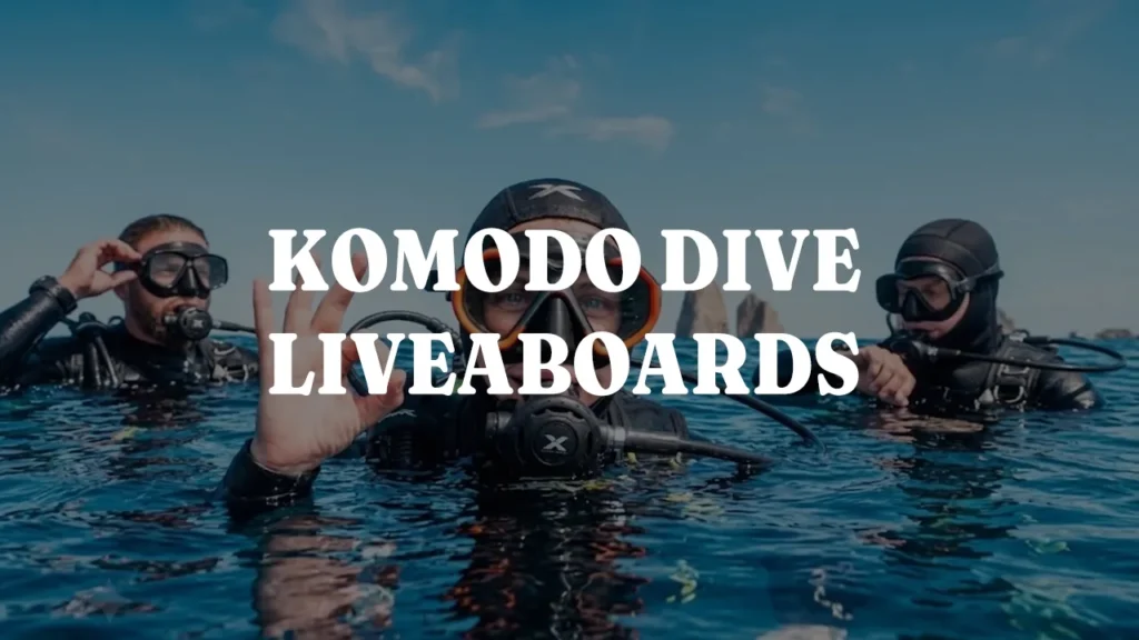 Komodo Diving Liveaboard Trips