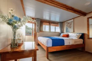 Deluxe ocean-view cabin aboard Ayvara
