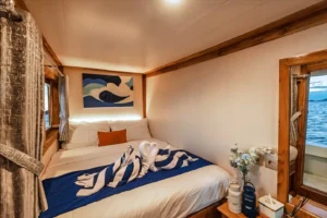 Second official view of an Ayvara Superior Cabin