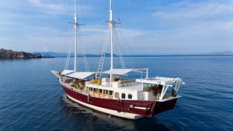 EcoPro Duyung Baru phinisi sailing in Komodo waters