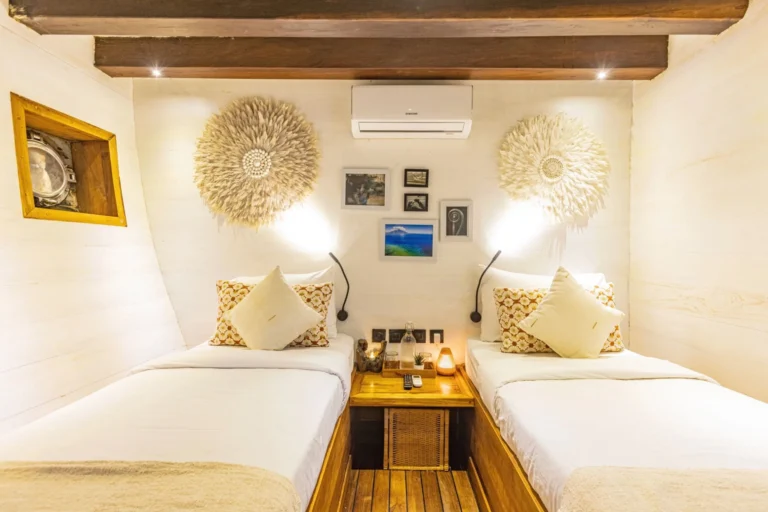 Lower-deck twin cabin aboard Fenides