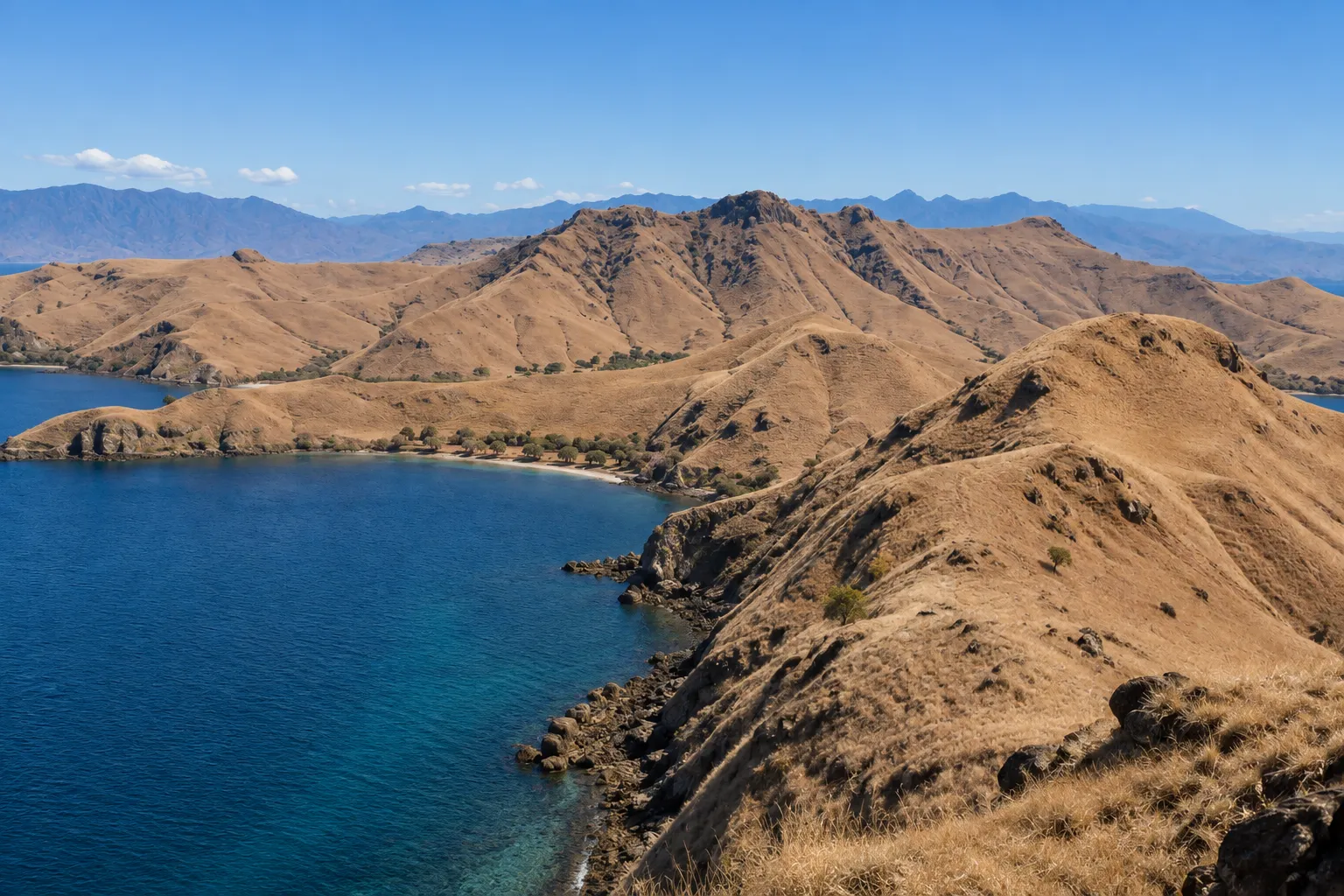 komodo-national-park-golden-savannah-september-dry-season