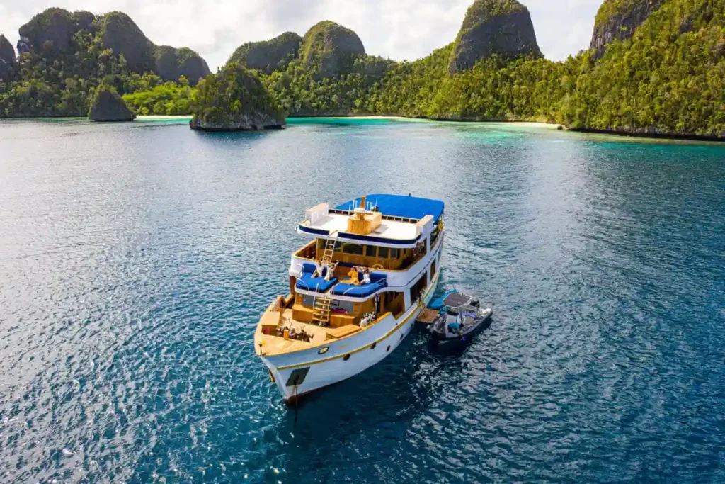 Aerial view of Magia II at anchor