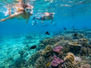 Travelers snorkeling above a coral reef during a Lombok to Komodo boat trip