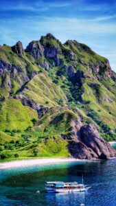 Natural landscape and wildlife view in the Komodo region
