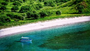 Natural landscape and wildlife view in the Komodo region