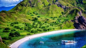 Natural landscape and wildlife view in the Komodo region