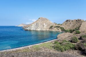Natural landscape and wildlife view in the Komodo region