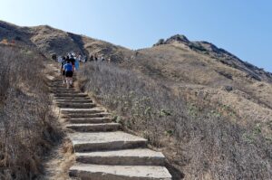 Natural landscape and wildlife view in the Komodo region