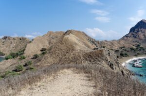 Natural landscape and wildlife view in the Komodo region