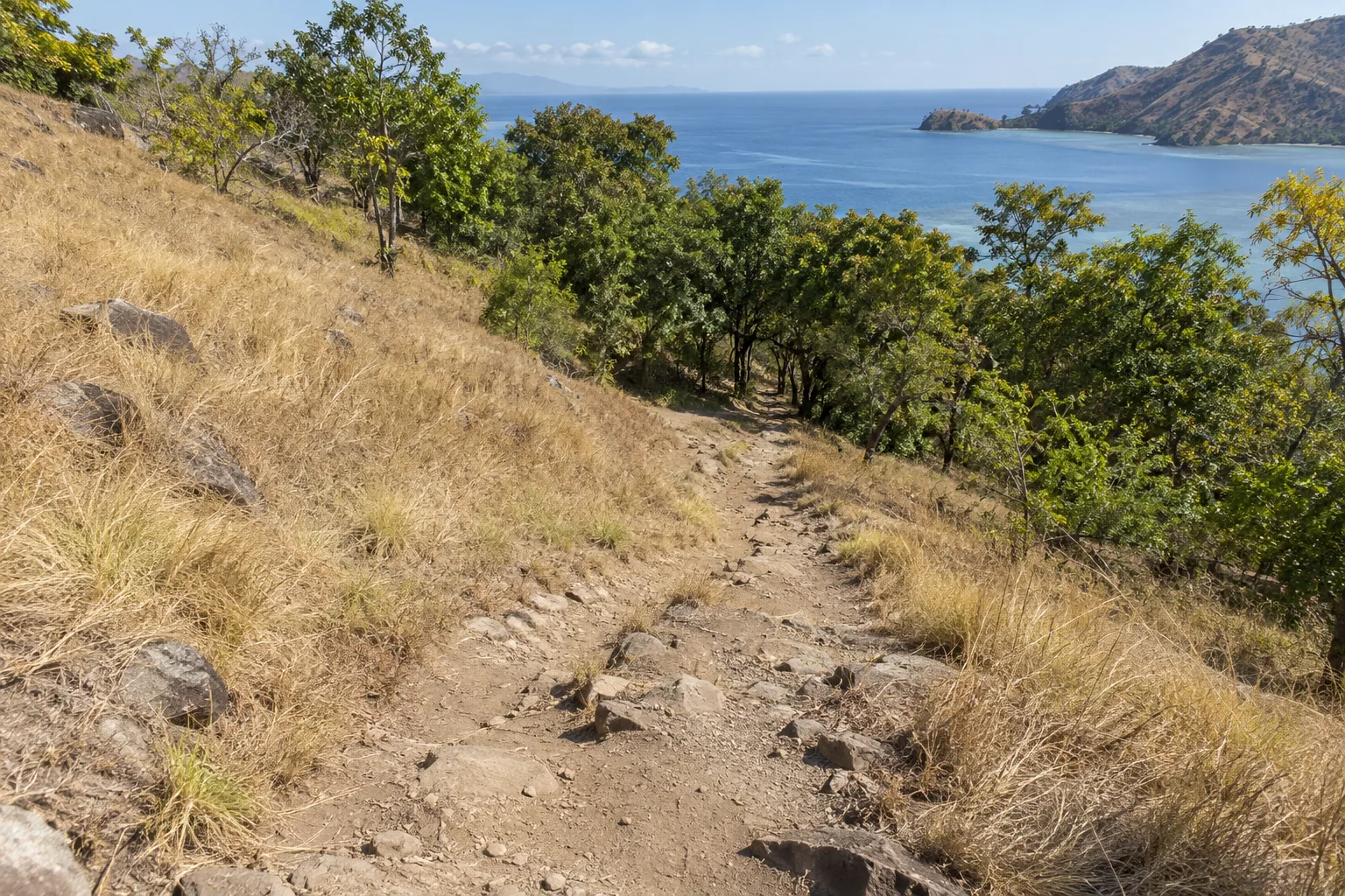 An uneven rocky trail crosses dry grass above a coastal bay.