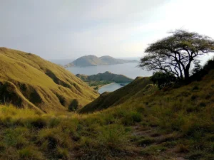 View over the curved bays of Gili Lawa Darat