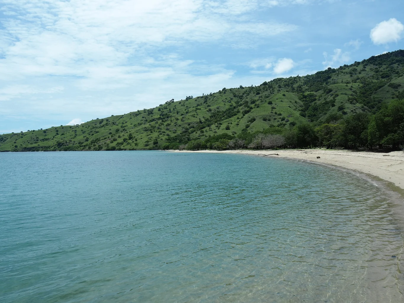 A beach borders green coastal hills on Komodo Island.