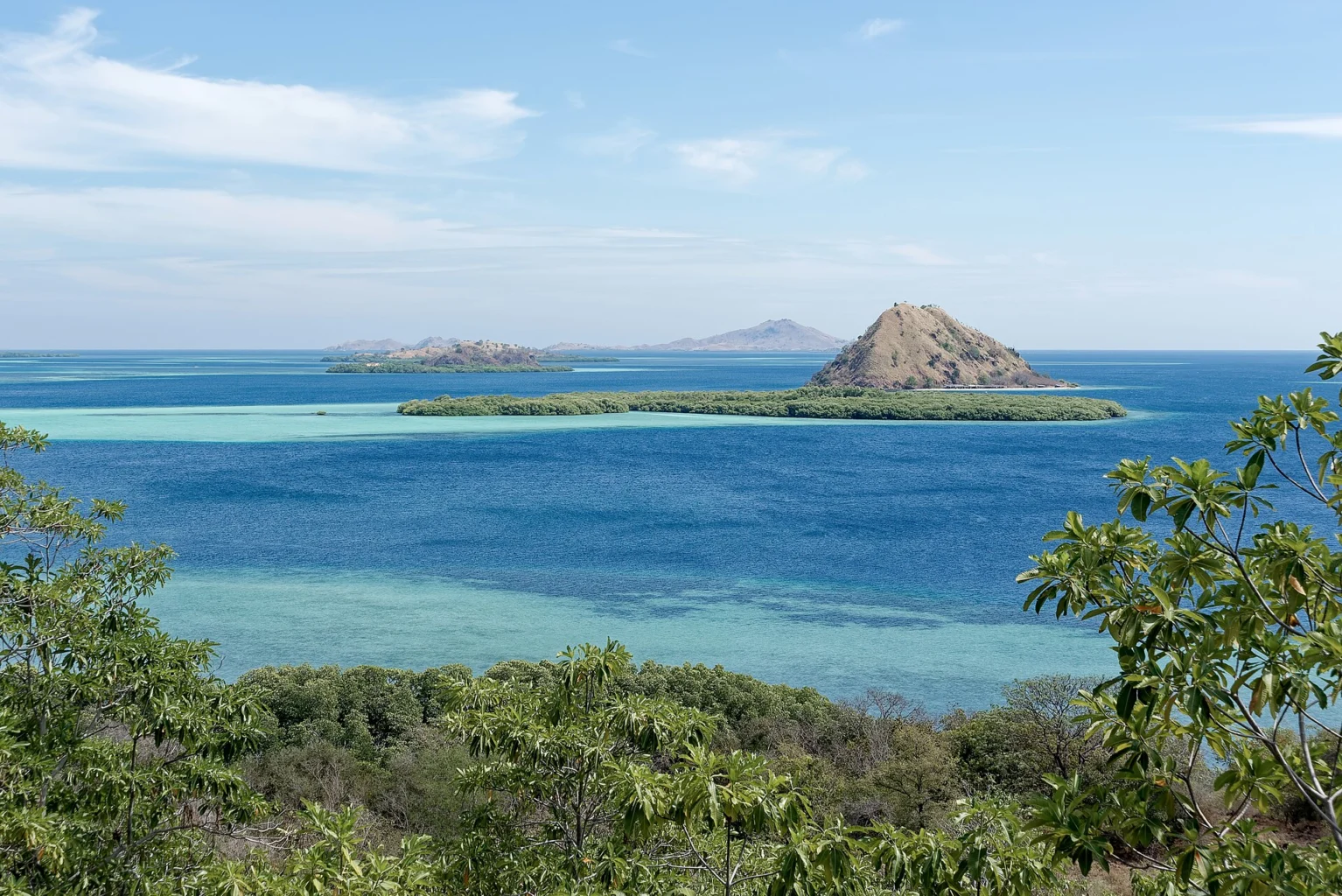 Rinca's coastal hills overlook mangroves and sheltered water.