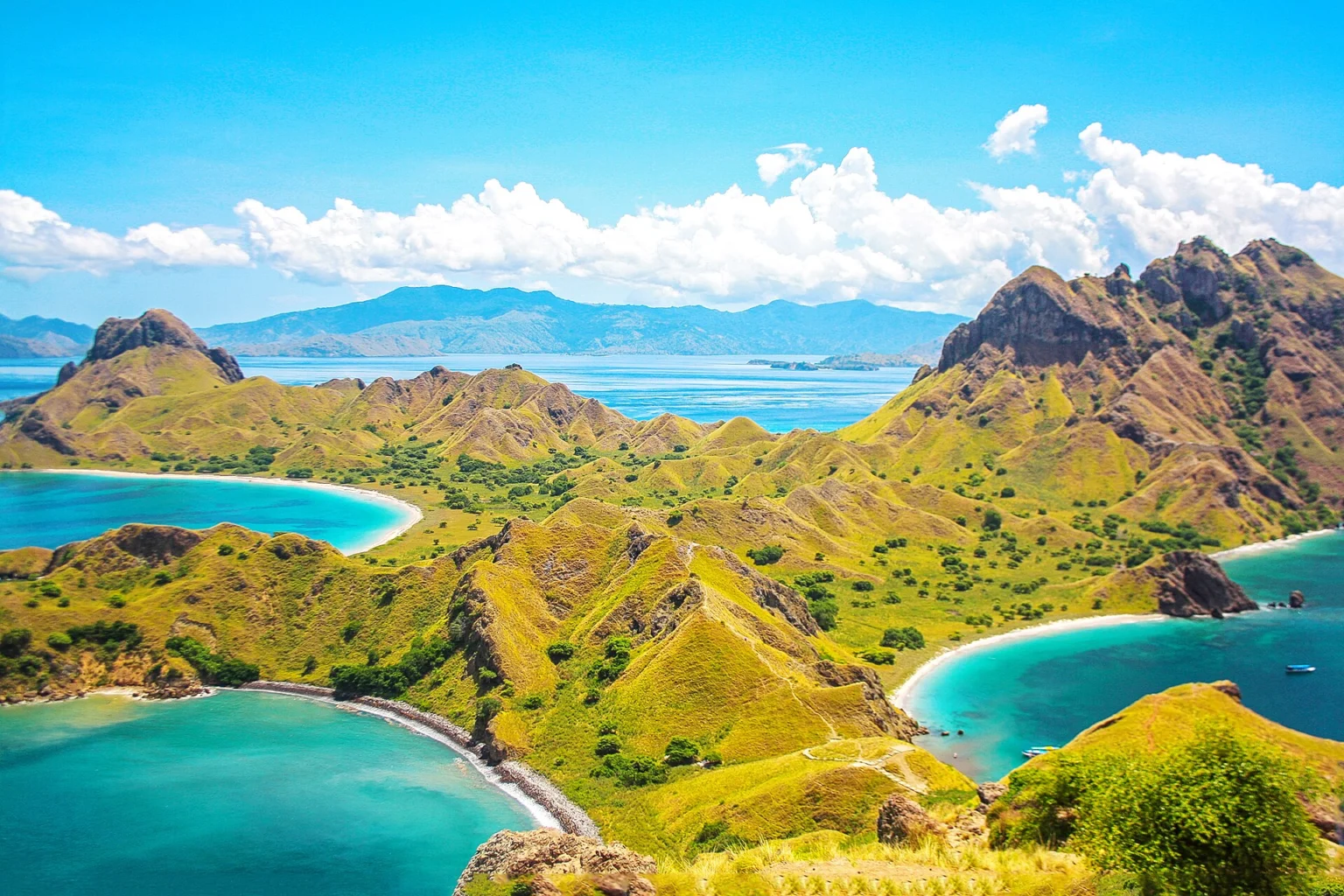 Padar Island green hills and bays — padar island sunrise trek Green ridges divide several bays on Padar Island.